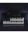 DM-100 Double Sampling Keyboard