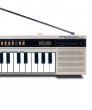 CK-10 CASIO Keyboard with AM-FM Radio