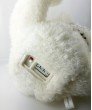 Baby-G Bear BG-520BRS-2 Watch Set