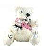 Baby-G Bear BG-520BRS-4 Watch Set