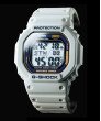 G-SHOCK DW-56RTWC-7V