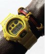 G-SHOCK DW-6900WCJ-9