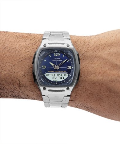 CASIO AW-81D-2AV